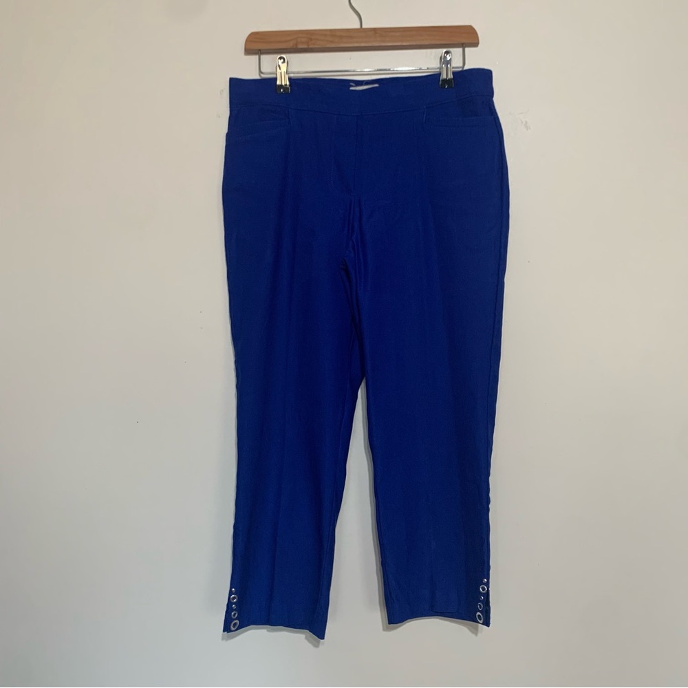 Retrology Blue Cropped Pull On Pants Medium